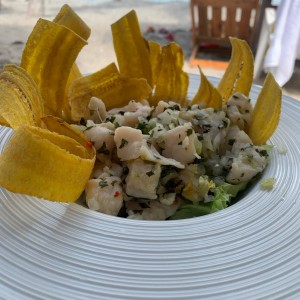 Ceviche