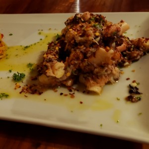 pulpo de la casa