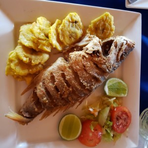 Pargo frito con patacones