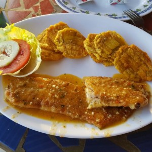 filete de corvina al ajillo