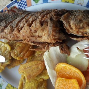 Corvina entera frita