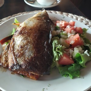 Trucha dorada, vegetales calientes y ensalada.