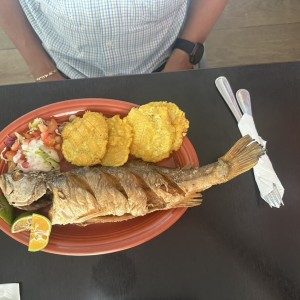 CORVINA ENTERO FRITO (según tamaño)