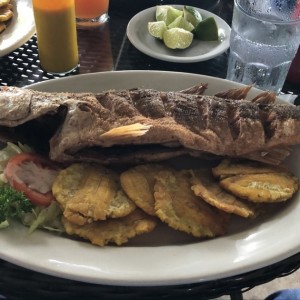 corvina frita entera con patacones