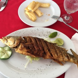 corvina frita