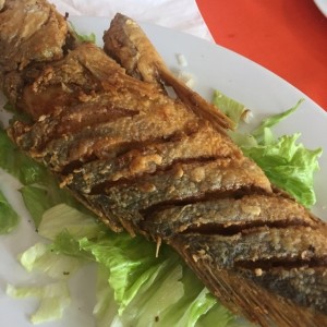 corvina frita