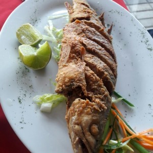 Corvina entera frita