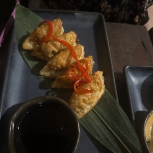 ENTRADAS - Gyozas