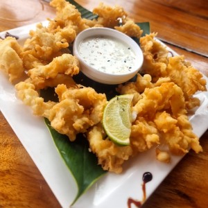 Calamares apanados