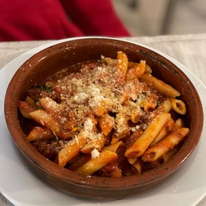 Bolognesa