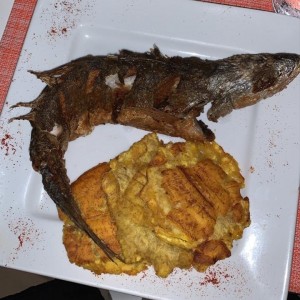 pargo frito