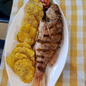 pargo frito  con patacon