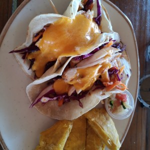 Tacos de Pollo 