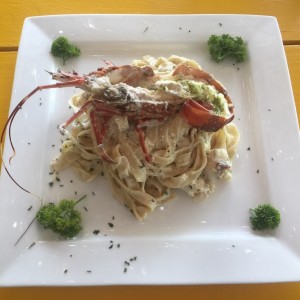 Fettuccine Nico?s con Langosta 