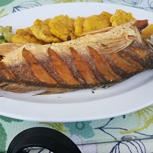 corvina frita con patacones