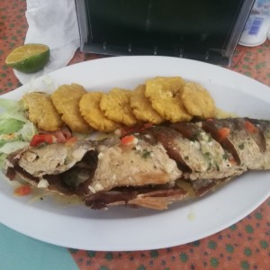 corvina frita