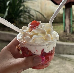 Fresas con Crema y Leche Condensada