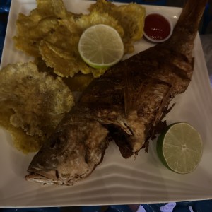 Pargo frito con patacones