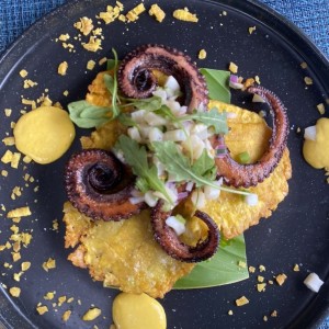 Pulpo parrillero