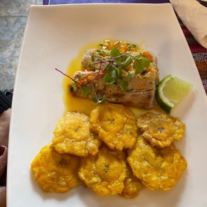 Corvina al ajillo