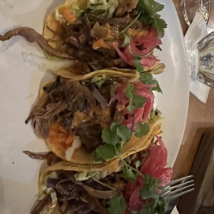 Tacos de Brisket