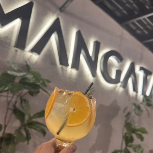 Gin de Naranja 