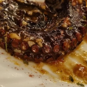 Pulpo en salsa criolla