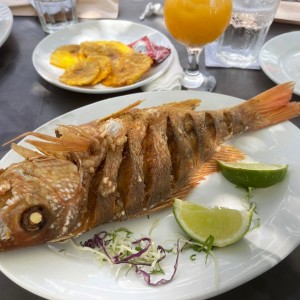 Pargo frito