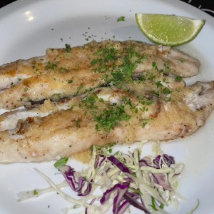 Corvina al ajillo