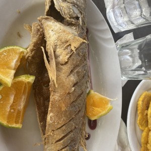 PESCADOS-FISH - Corvina frita