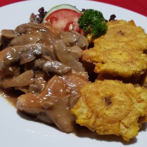 Filete de Pollo en salsa de hongos 