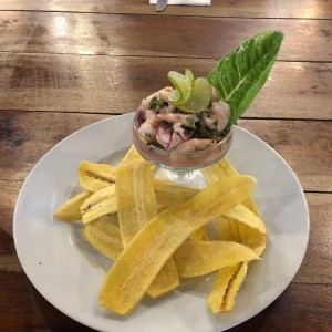 ceviche de camarones solo profesional