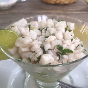 ceviche de mero 