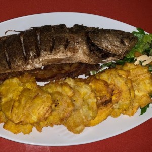 Corvina Entera Frita