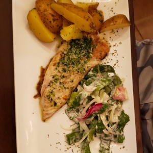 filete de corvina