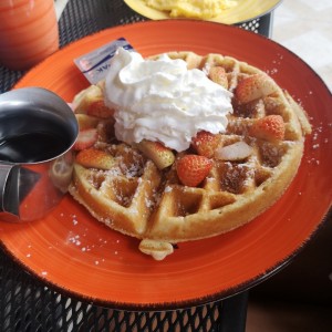 belgian waffle