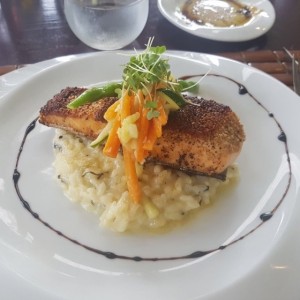 Salmon con Risotto