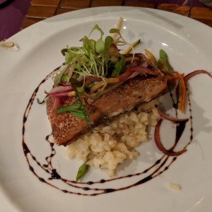 Salmon con risotto