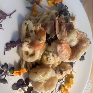 Pasta seafood