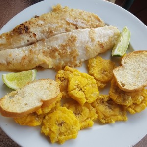 Filete de Pescado con Patacones