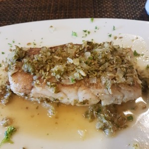 Corvina with Fennel Sauce