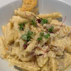 Penne con ragu de conejo