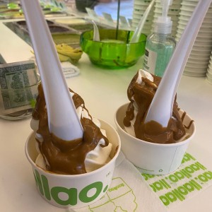 Yogurt helado + 1 toppings