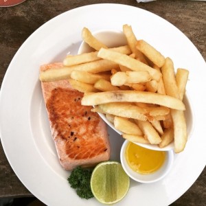 salmon 