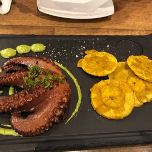 pulpo