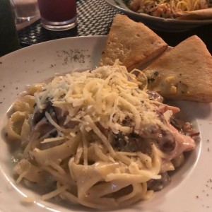 Pastas - Alfredo