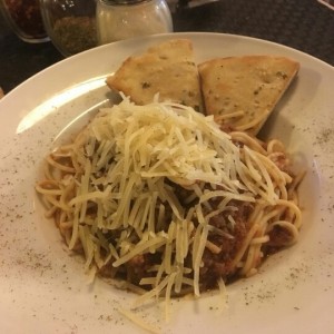 bolognesa 