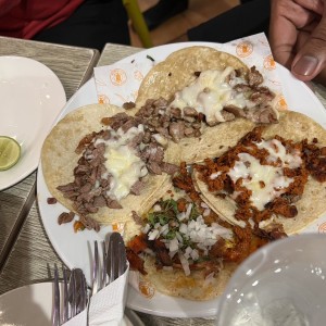 Otras Especialidades - Mixto