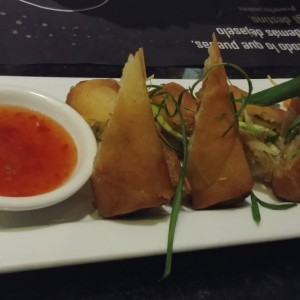 Entradas Calientes - Spring rolls