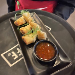 Entradas - Spring Rolls